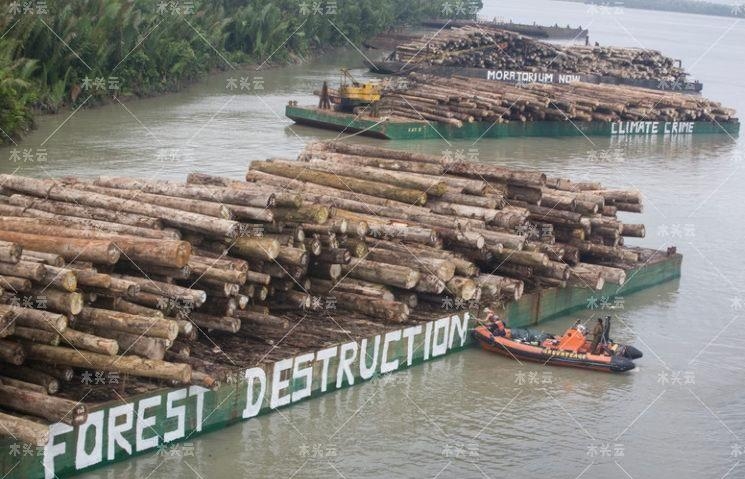 巴新已失去11%的森林覆盖率